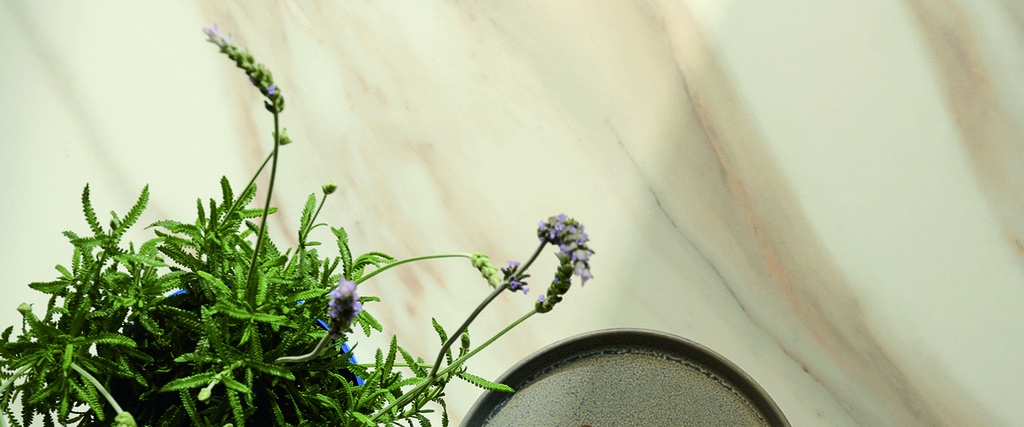 CALACATTA AUREO 4D POLISHED 320X160 20MM