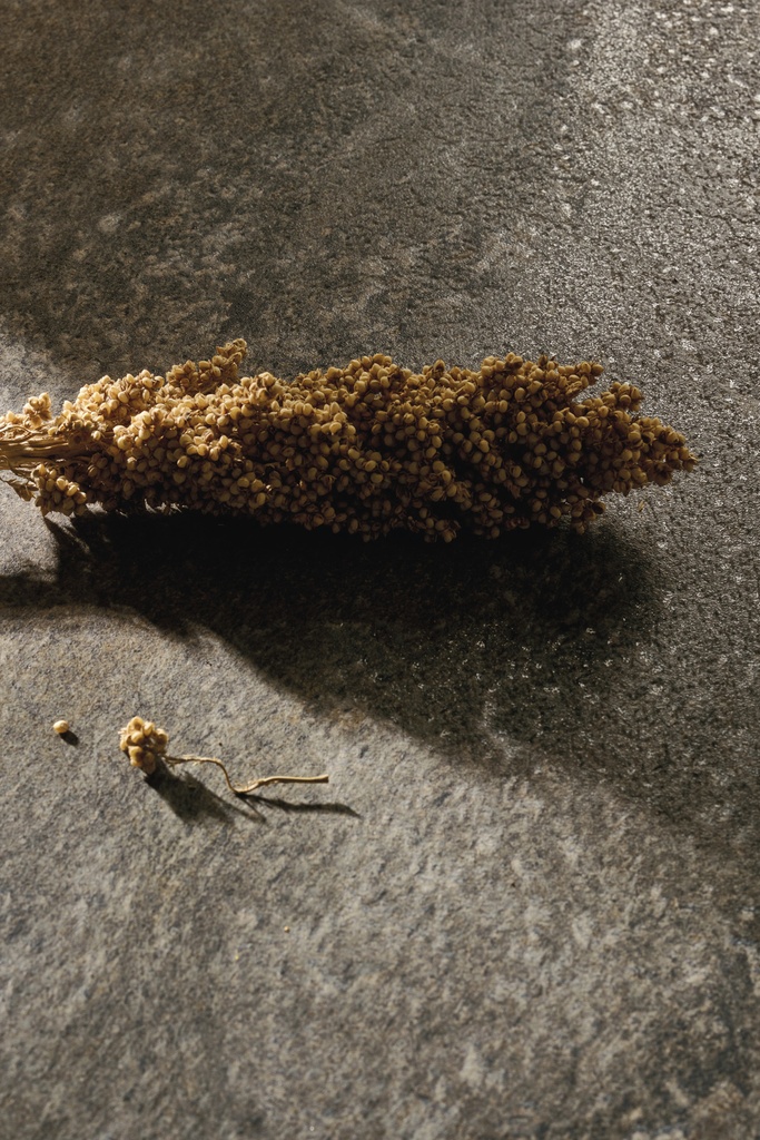 JATOBA BROWN 4D LAPPED 320X160 12MM