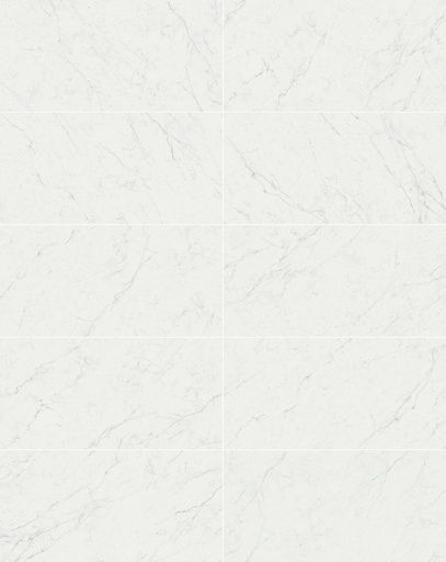 [VLCS60X120] VALLELUNGA CARRARA SATIN 60X120