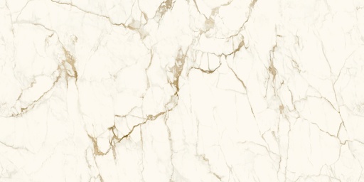 [SSSSP3216530G20] CALACATTA MACCHIA VECCHIA 4D POLISHED 320X160 20MM